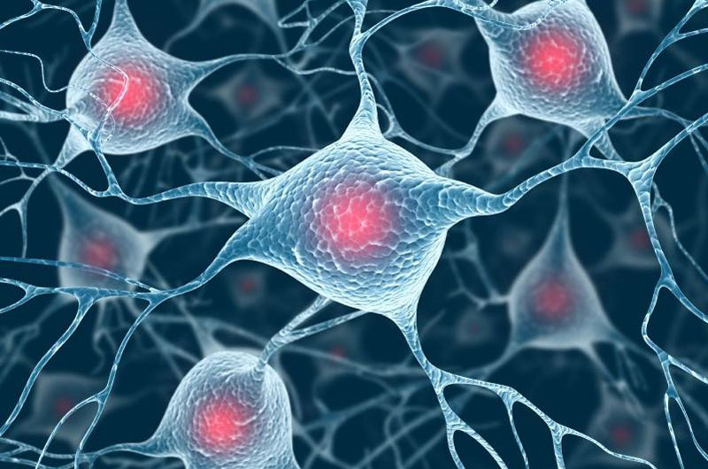 Basado en la evidencia